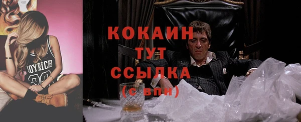 бошки Мегион
