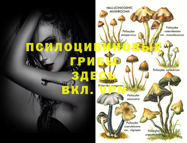 спайс Медвежьегорск