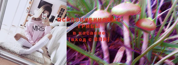 бошки Мегион