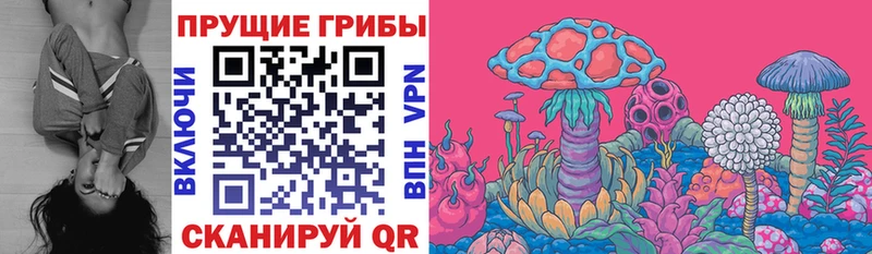 где можно купить наркотик  Гагарин  Галлюциногенные грибы Psilocybine cubensis 
