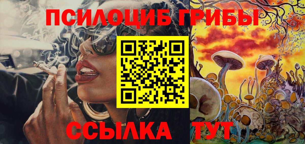 Гагарин  Псилоцибиновые грибы прущие грибы  Вход с VPN 