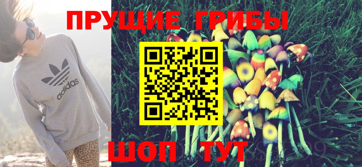Псилоцибиновые грибы Psilocybe Гагарин