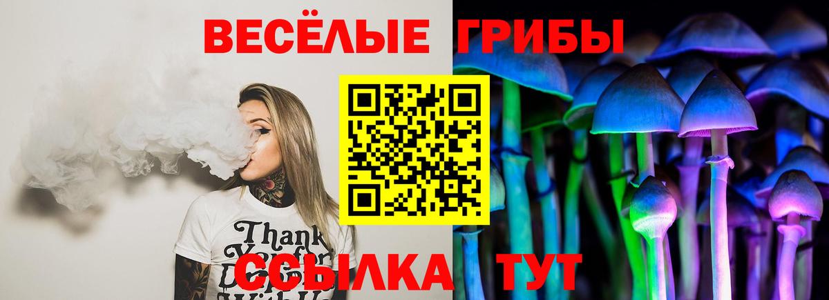 Галлюциногенные грибы Cubensis Гагарин