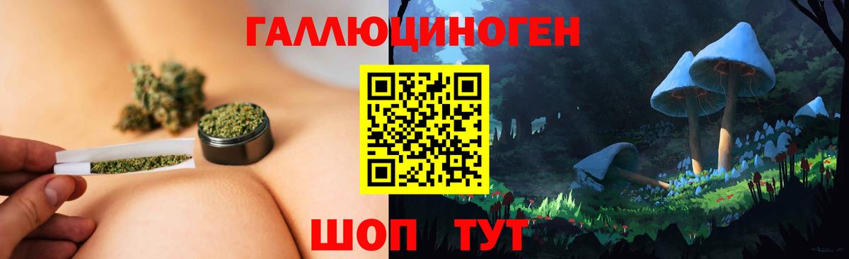 где продают   Гагарин  Галлюциногенные грибы GOLDEN TEACHER 